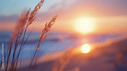 Sunset Over Ocean Shore With Silhouetted Grasses Near Waterline