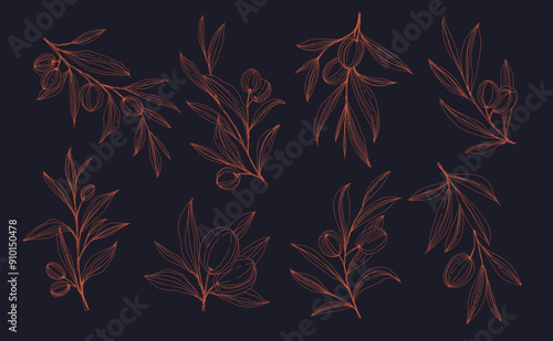 Olive Branch and olive oil logo or olive icon, herbs elements in vector format, floral olive frame and border virgin oil, line drawing olive branch 