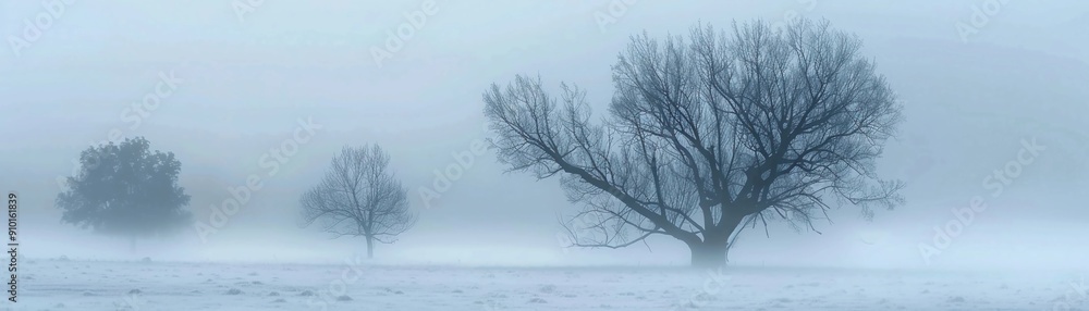 Foggy Morning, Ethereal beauty of a foggy morning with muted grey tones Foggy Morning, Ethereal beauty of a foggy morning with muted grey tones