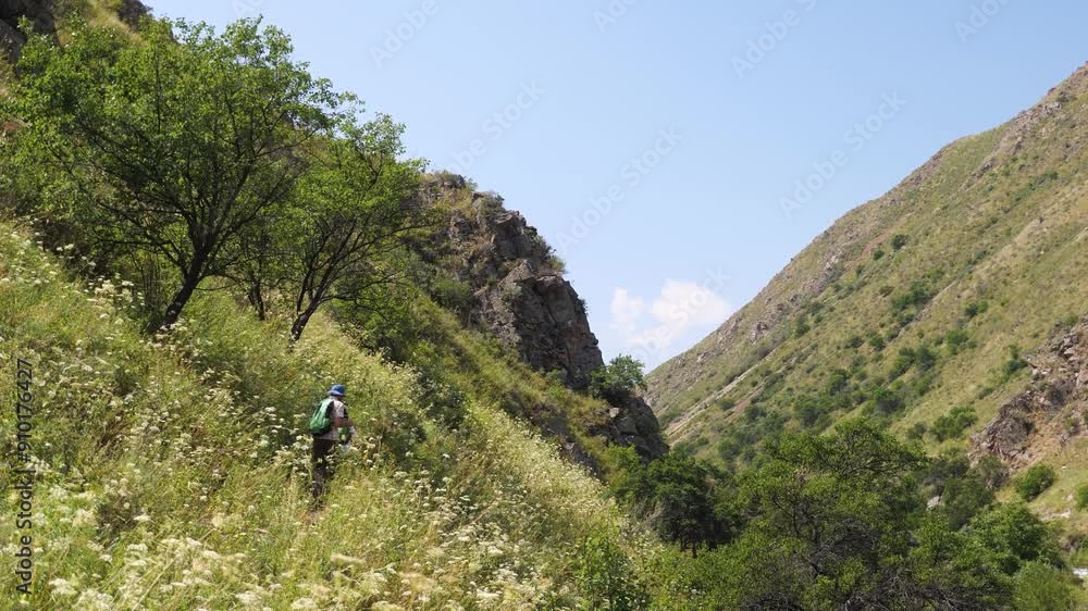 Two hikers with backpacks walk among dense flowering vegetation. A man and his boy son are trekking in the mountains. Slow motion 2x Two hikers with backpacks walk among dense flowering vegetation. A man and his boy son are trekking in the mountains. Slow motion 2x