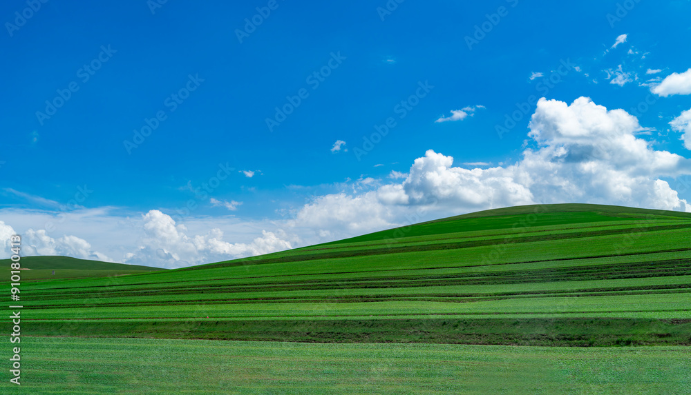 green architecture fields on the hill under sunny sky green architecture fields on the hill under sunny sky