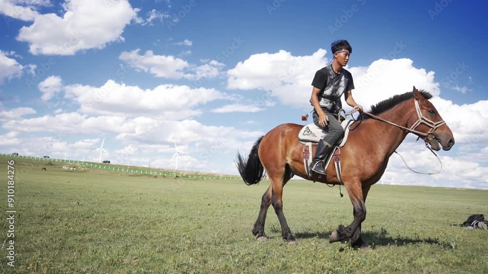people riding horse in lawn people riding horse in lawn