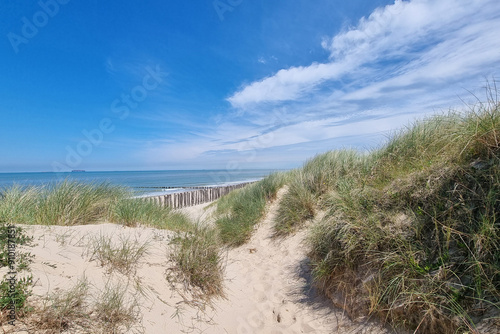 Scenic Coastal Dune Landscape on a Sunny Day - Ideal for Nature Posters and Summertime Designs