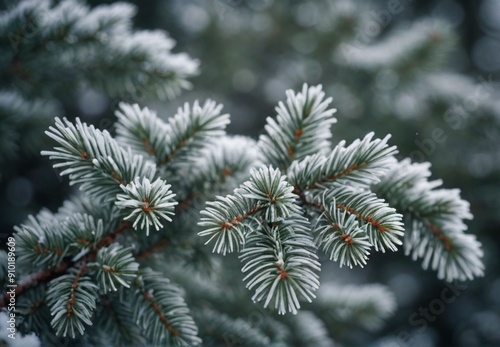 snow covered pine needles