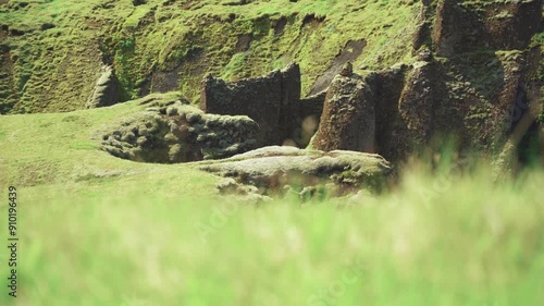 Faille de Fjaðrárgljúfur Islande