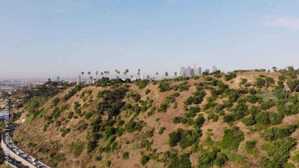 Los Angeles traffic with Palm Trees Aerial Los Angeles traffic with Palm Trees Aerial