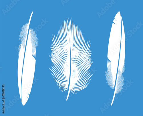 Feathers logo. Isolated feathers on white background