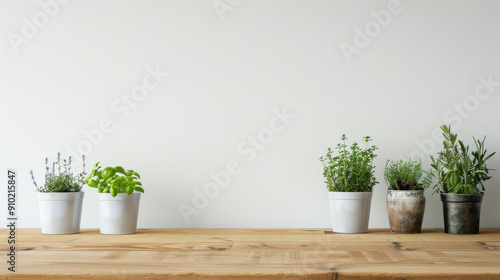 Potted plants sit neatly on a wooden surface against a minimalist white background, bringing a touch of greenery indoors.