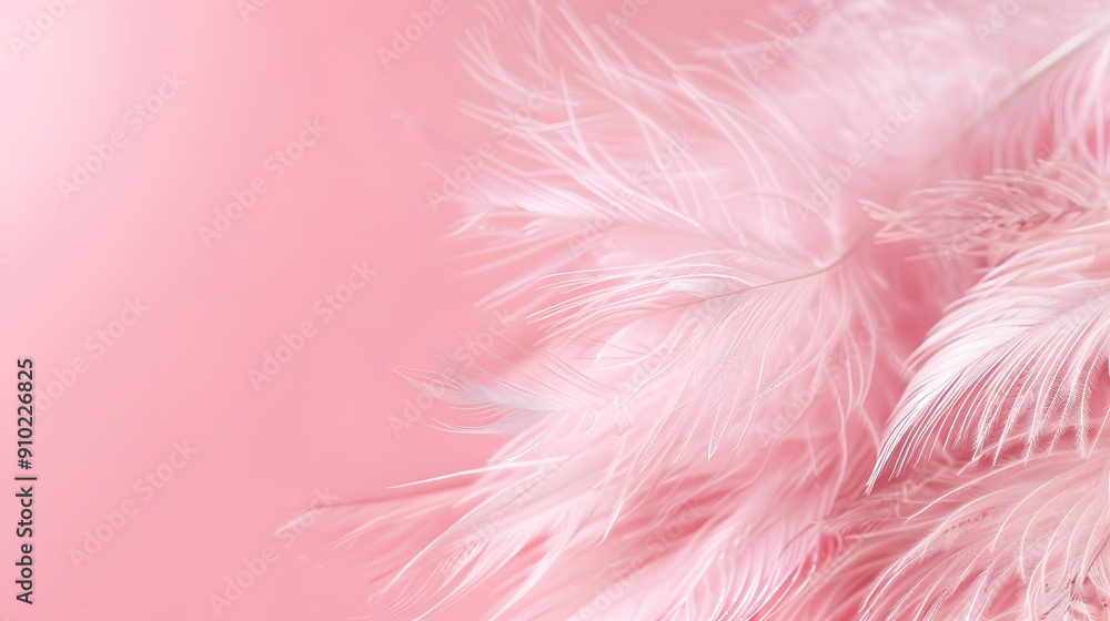 Delicate pink feathers on a soft pink background, evoking a gentle feel. Delicate pink feathers on a soft pink background, evoking a gentle feel.