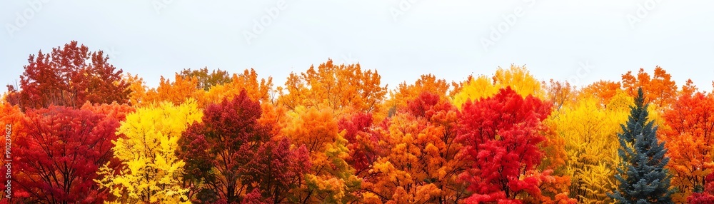 Trees adorned with fall foliage and harvest, seasonal bounty Trees adorned with fall foliage and harvest, seasonal bounty