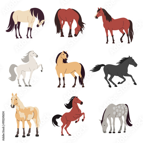 Set of flat vector illustrations on white background. Horses of different colors and breeds . Vector illustration