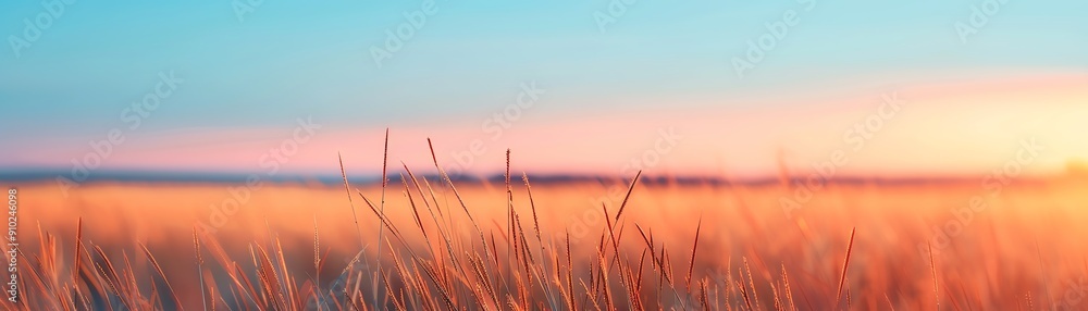 Earthy colors in natural sunset, serene glow Earthy colors in natural sunset, serene glow