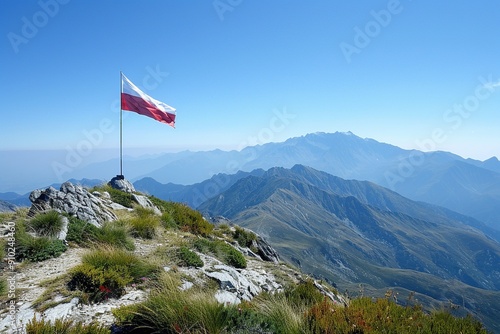 This detailed illustration features the Polish flag waving proudly in the wind, showcasing its vibrant white and red colors. The fluid motion captures the essence of national pride and identity.