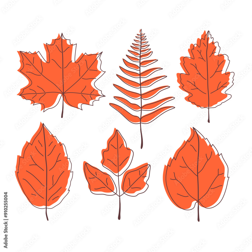 autumn leaves vector set aesthetic.hand drawn design elements autumn leaves vector set aesthetic.hand drawn design elements