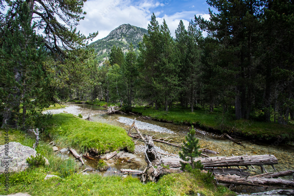 Obraz premium Summer landscape in Vall de Boi in Aiguestortes and Sant Maurici National Park, Spain
