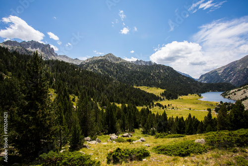 Summer landscape in Vall de Boi in Aiguestortes and Sant Maurici National Park, Spain