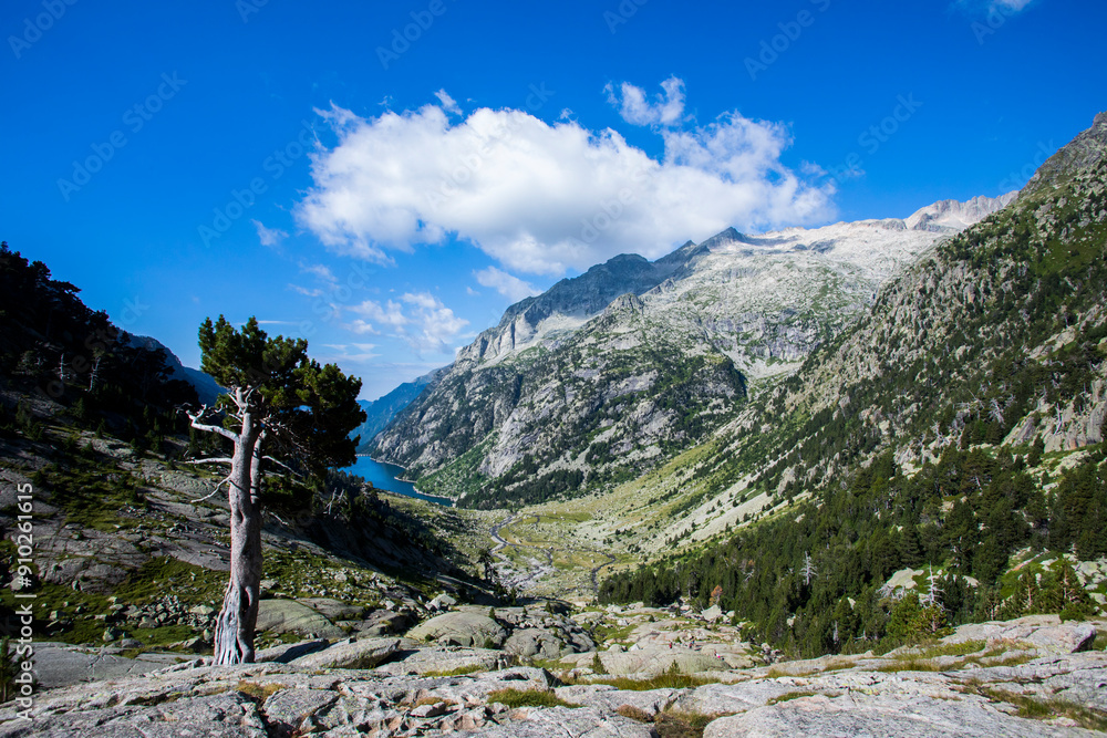 Summer landscape in Vall de Boi in Aiguestortes and Sant Maurici National Park, Spain Summer landscape in Vall de Boi in Aiguestortes and Sant Maurici National Park, Spain