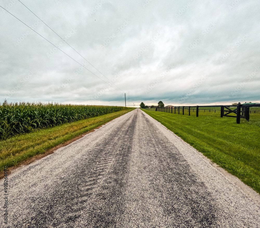 Single lane road runs through the center of two large agricultural fields. Soybean crops on one side, corn plants on the other. Overcast morning sky. Rural Midwestern farm country scene. Single lane road runs through the center of two large agricultural fields. Soybean crops on one side, corn plants on the other. Overcast morning sky. Rural Midwestern farm country scene.
