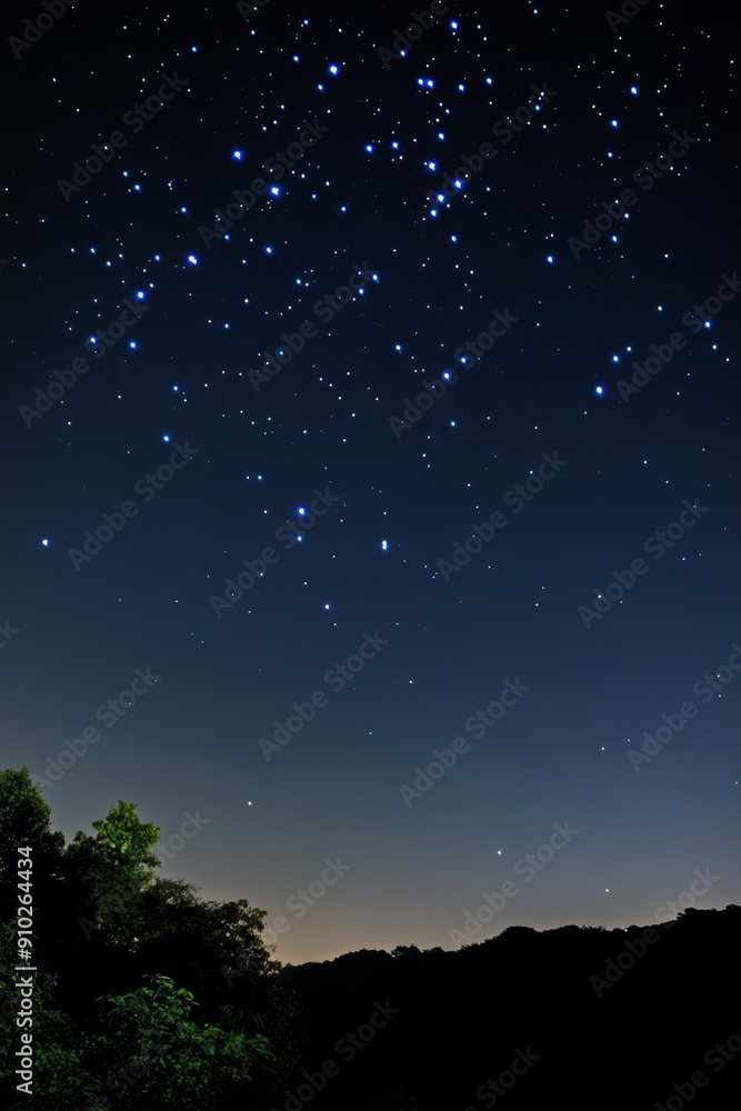 Starry night sky with bright constellations over a dark silhouette of trees. Starry night sky with bright constellations over a dark silhouette of trees.