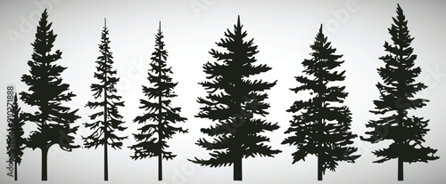 pine trees vector flat illustration