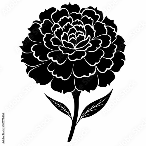 Black Marigold Silhouette Vector photo