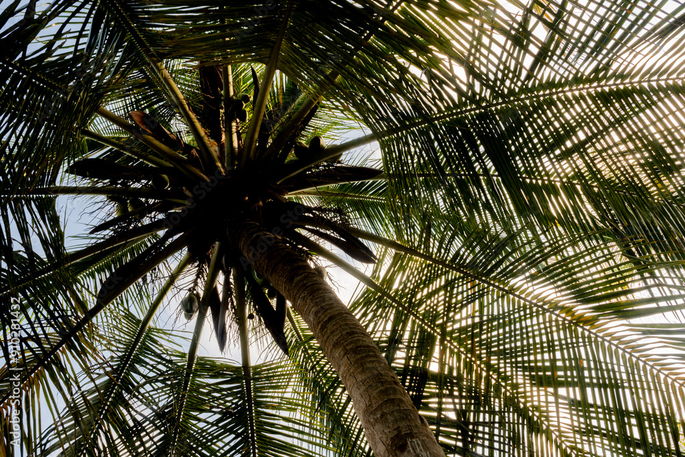 Fototapeta premium 2024-Colombie-2602