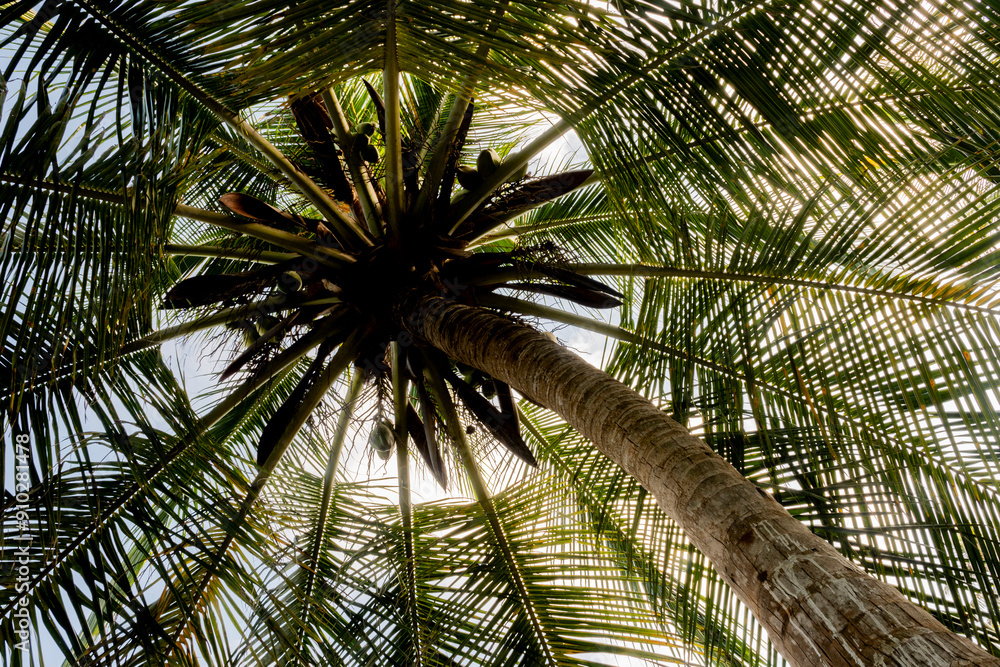 Fototapeta premium 2024-Colombie-2605