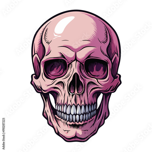 human skull illustration vector