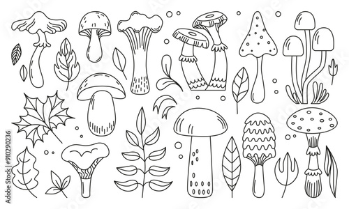 Hand drawn mushroom. Forest mushrooms leaves linear elements. Autumn seasonal doodle objects. Toadstools fly agaric flat neoteric vector set