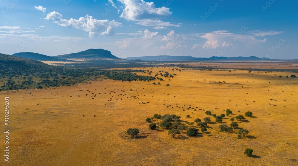 Aerial view of the vast Serengeti plains with wildebeest grazing, dotted with acacia trees under a bright, expansive sky.. Aerial view of the vast Serengeti plains with wildebeest grazing, dotted with acacia trees under a bright, expansive sky..