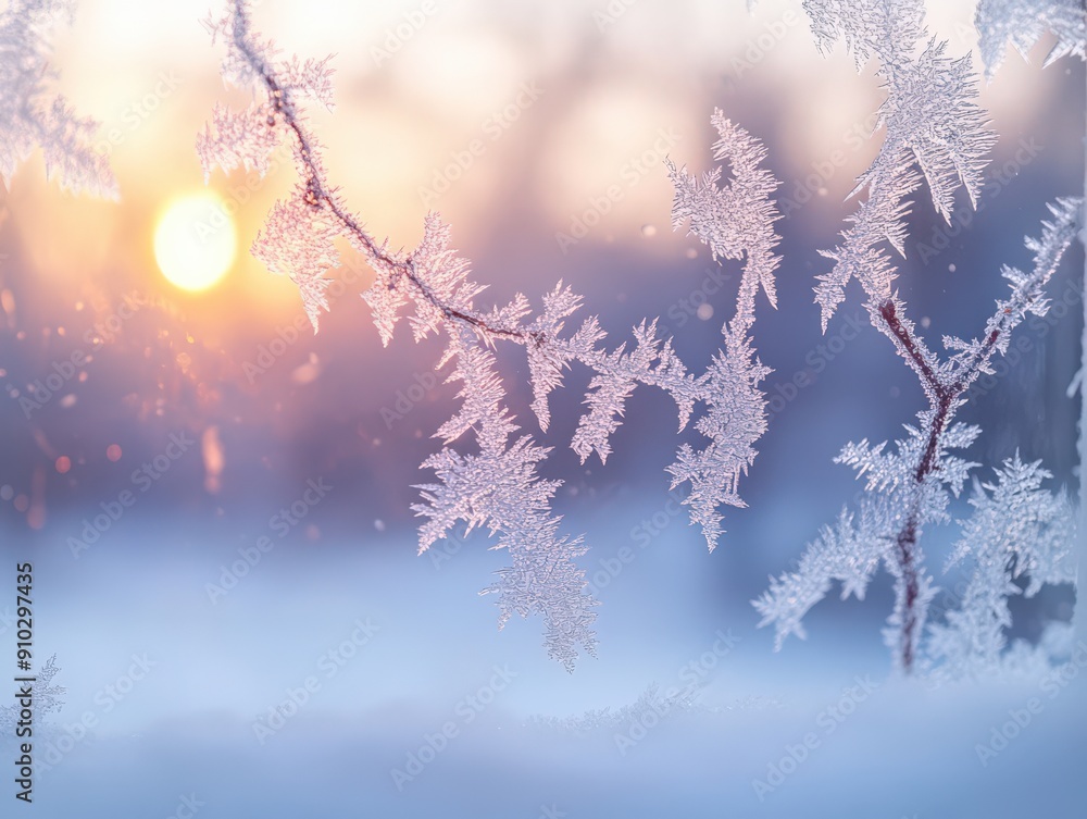Frosty Winter Morning with Sunlight Shining Through Delicate Ice Crystals on Tree Branches Frosty Winter Morning with Sunlight Shining Through Delicate Ice Crystals on Tree Branches