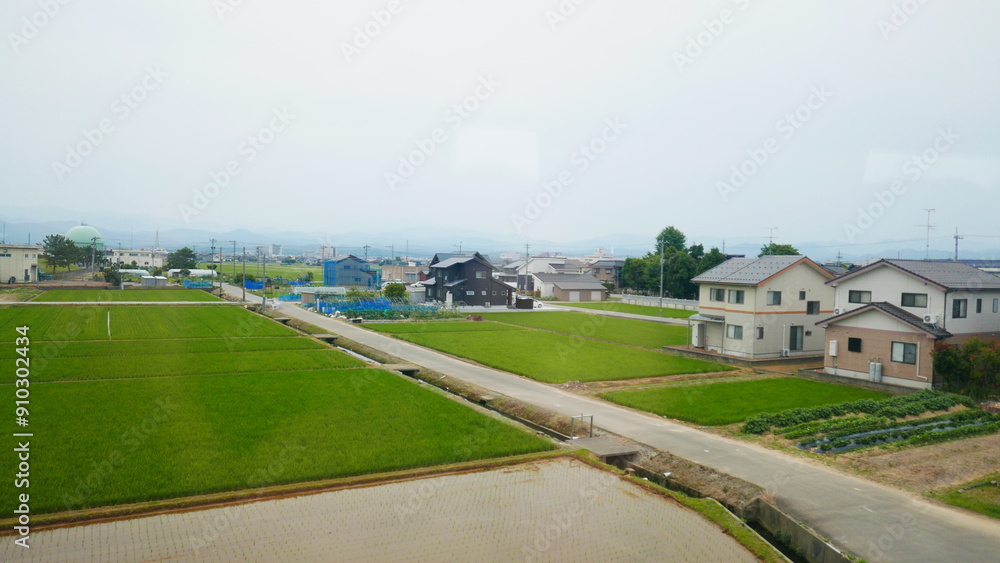 Glimpses of Japan, near Lake Biwa, from the Shinkansen Glimpses of Japan, near Lake Biwa, from the Shinkansen