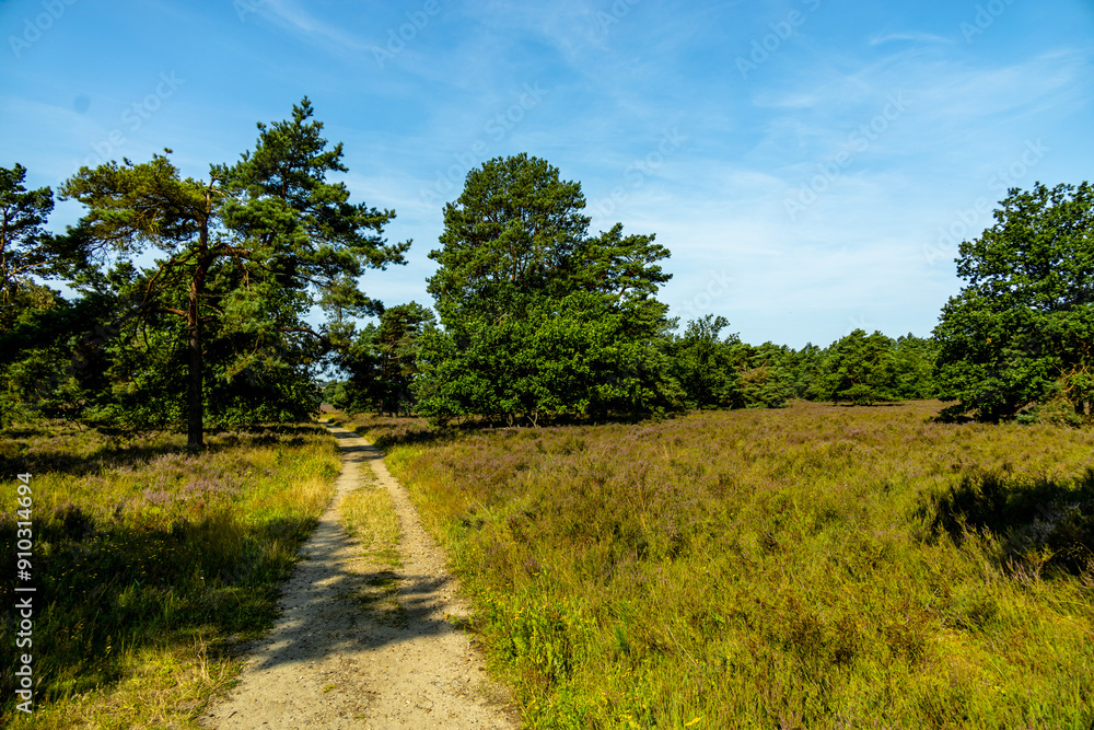 Ein herrliche Wanderung durch die einzigartige und farbenfrohe Landschaft der Behringer Heide - Bispingen - Niedersachsen - Deutschland Ein herrliche Wanderung durch die einzigartige und farbenfrohe Landschaft der Behringer Heide - Bispingen - Niedersachsen - Deutschland