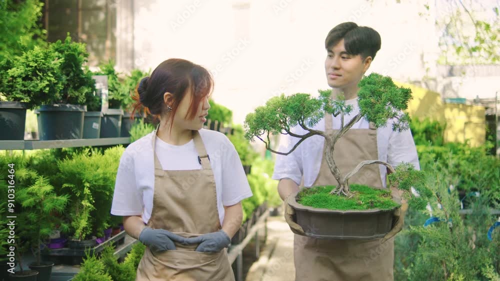 A young Japanese couple walks through their garden holding a bonsai tree, chatting and laughing. Both are wearing gardening aprons and gloves. A young Japanese couple walks through their garden holding a bonsai tree, chatting and laughing. Both are wearing gardening aprons and gloves.