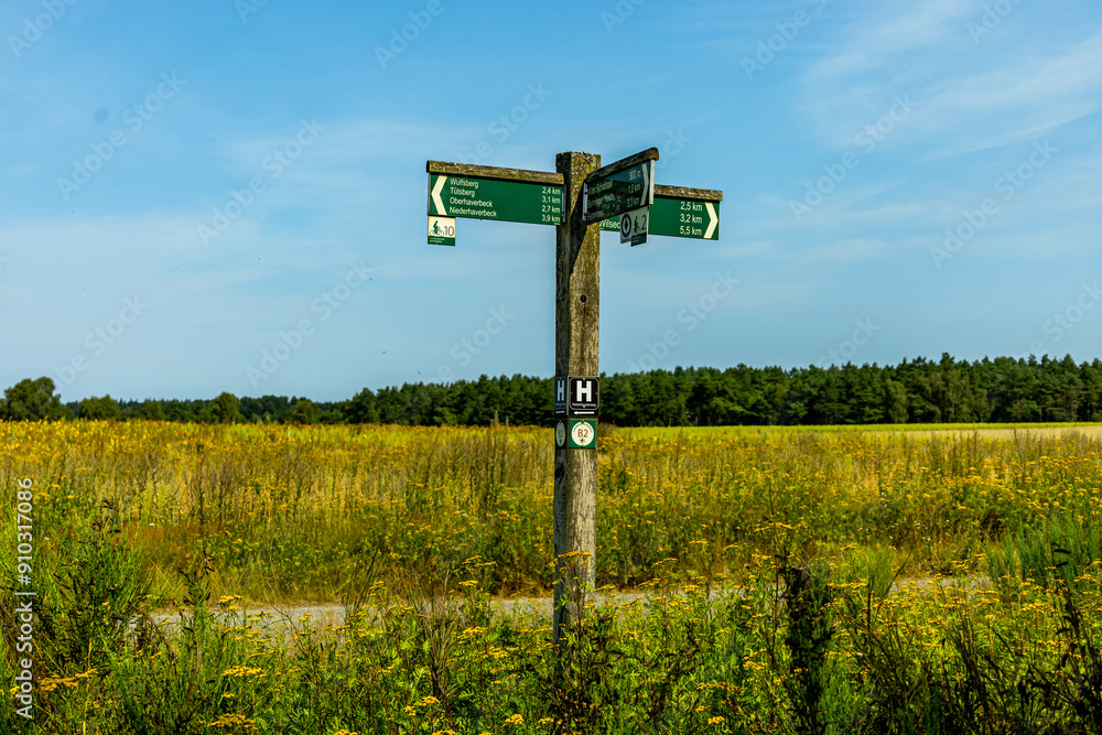 Ein herrliche Wanderung durch die einzigartige und farbenfrohe Landschaft der Behringer Heide - Bispingen - Niedersachsen - Deutschland Ein herrliche Wanderung durch die einzigartige und farbenfrohe Landschaft der Behringer Heide - Bispingen - Niedersachsen - Deutschland