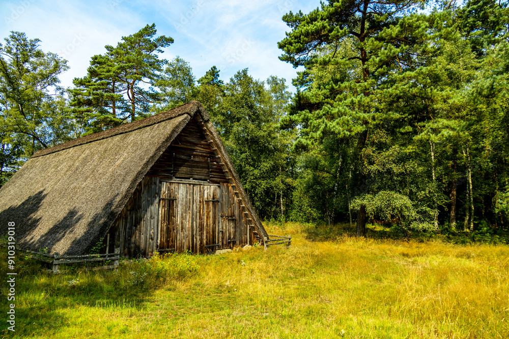 Ein herrliche Wanderung durch die einzigartige und farbenfrohe Landschaft der Behringer Heide - Bispingen - Niedersachsen - Deutschland Ein herrliche Wanderung durch die einzigartige und farbenfrohe Landschaft der Behringer Heide - Bispingen - Niedersachsen - Deutschland