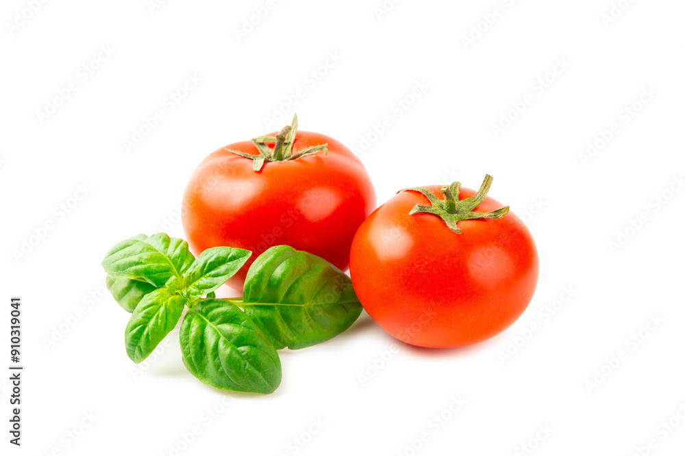 Fresh cherry tomatoes and fresh green basil isolated on white background. Tomato sauce. Vegan. Ingredients for salad. Organic food. Place for text. Copy space. Fresh cherry tomatoes and fresh green basil isolated on white background. Tomato sauce. Vegan. Ingredients for salad. Organic food. Place for text. Copy space.