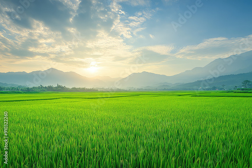 A Serene Sunrise Over Expansive Green Rice Fields with Distant Majestic Mountains