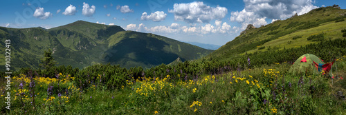 panorama Chornohirskyi ridge, view of the Eared stone, mountain flowers and a...