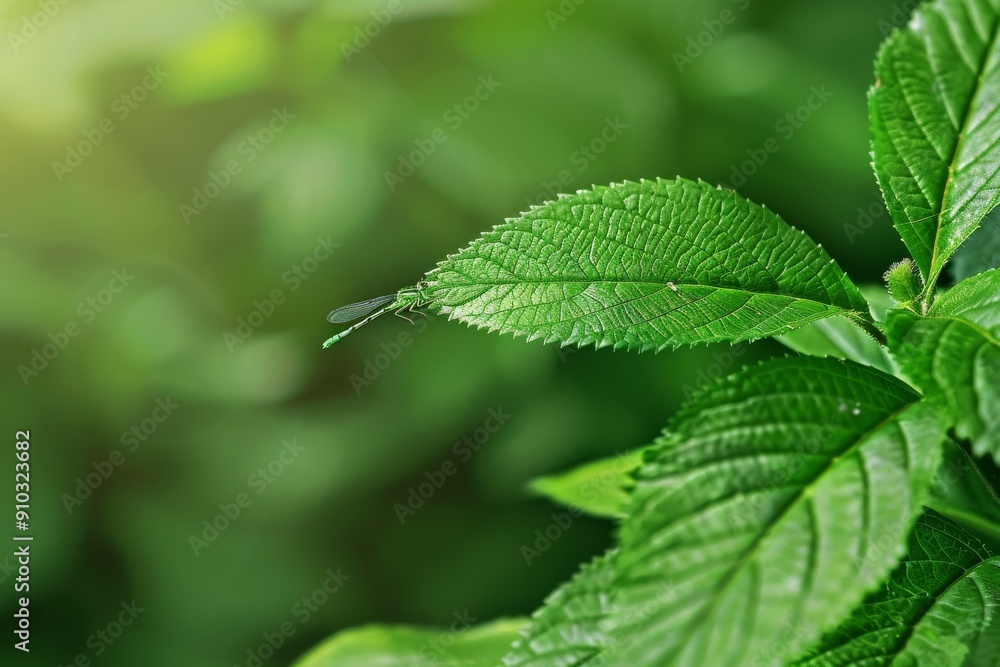 Close-up of vibrant green leaves with dew drops, showcasing nature's freshness and beauty in a detailed botanical macro shot.. Beautiful simple AI generated image in 4K, unique. Close-up of vibrant green leaves with dew drops, showcasing nature's freshness and beauty in a detailed botanical macro shot.. Beautiful simple AI generated image in 4K, unique.