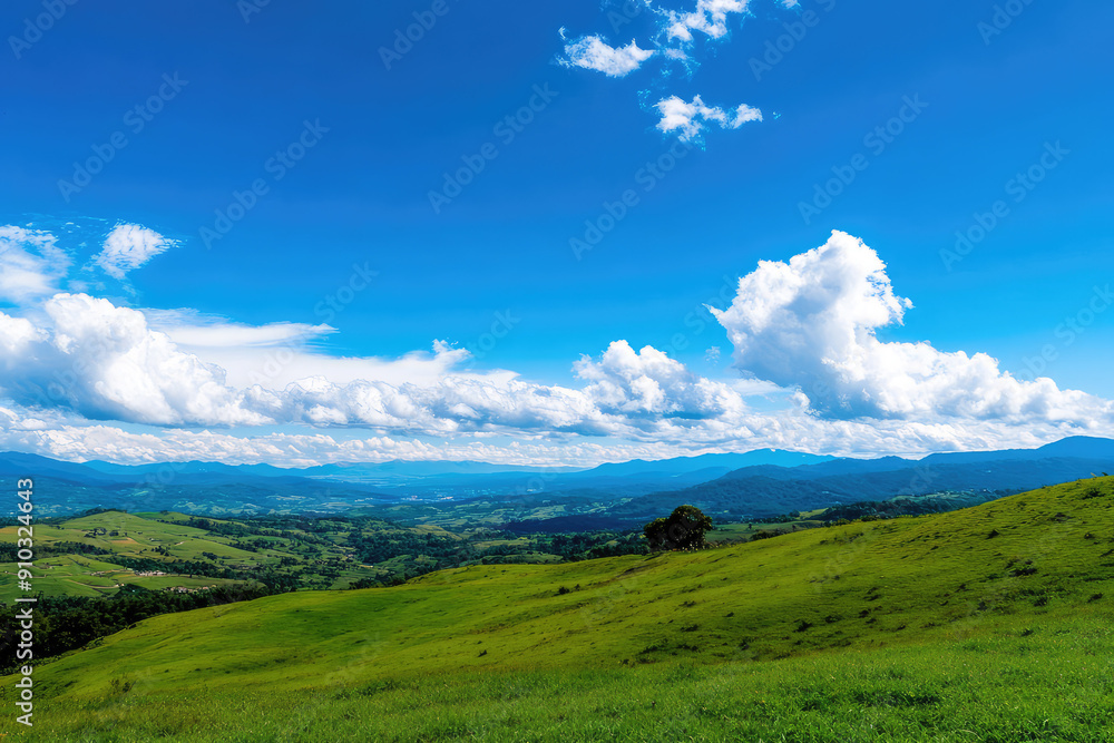 Expansive Rolling Hills Under a Vibrant Blue Sky with Fluffy Clouds Expansive Rolling Hills Under a Vibrant Blue Sky with Fluffy Clouds