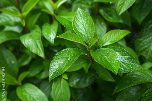 Close-up of a tree branch with young green leaves, blurred background. Spring foliage, macro photography.. Beautiful simple AI generated image in 4K, unique.