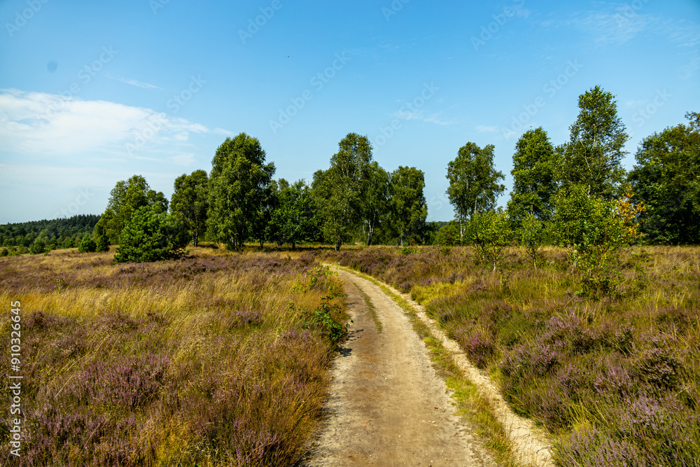 Ein herrliche Wanderung durch die einzigartige und farbenfrohe Landschaft der Behringer Heide - Bispingen - Niedersachsen - Deutschland Ein herrliche Wanderung durch die einzigartige und farbenfrohe Landschaft der Behringer Heide - Bispingen - Niedersachsen - Deutschland
