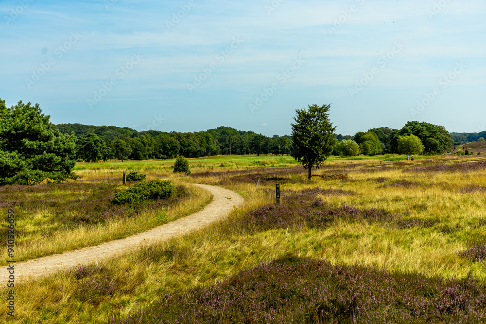Ein herrliche Wanderung durch die einzigartige und farbenfrohe Landschaft der Behringer Heide - Bispingen - Niedersachsen - Deutschland Ein herrliche Wanderung durch die einzigartige und farbenfrohe Landschaft der Behringer Heide - Bispingen - Niedersachsen - Deutschland