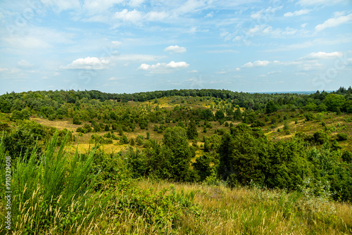 Ein herrliche Wanderung durch die einzigartige und farbenfrohe Landschaft der Behringer Heide - Bispingen - Niedersachsen - Deutschland