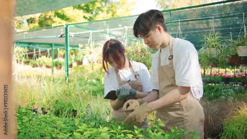 Two Japanese gardeners inspect plant seedlings, checking quality and taking notes in a notebook or tablet in a sunny outdoor garden center photo