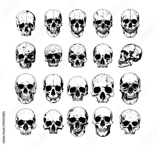 Human skulls Ink sketch vector collection. Cranium bones remains skeletal jaws crypt spooky tattoo burial deceased anatomy isolated monochrome illustrations on white backdrop