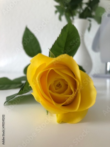 yellow rose with leaves on a white table