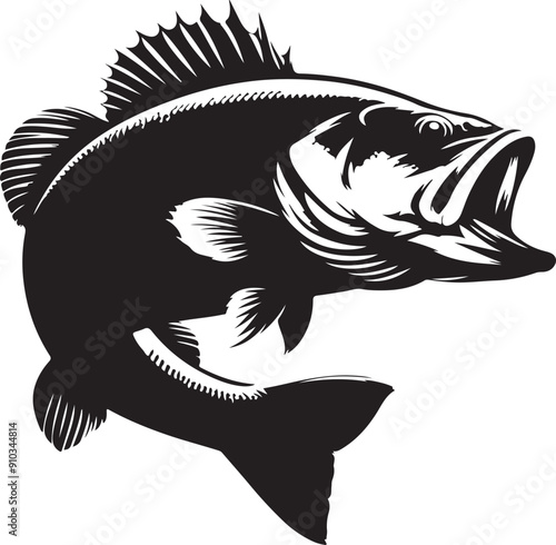 Largemouth Bass isolated on black and white background EPS