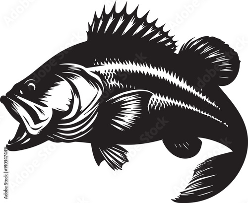 Largemouth Bass isolated on black and white background EPS